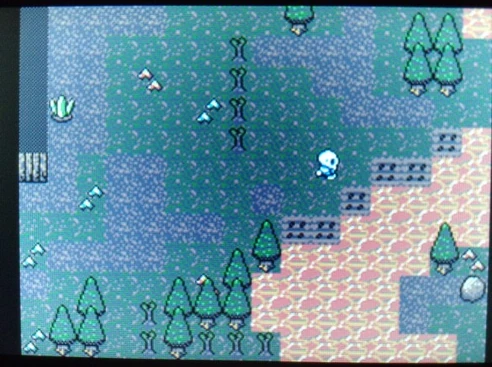 Growing plants is a way to generate resources.