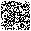 QR Code 12