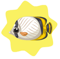 Vagabond Butterflyfish