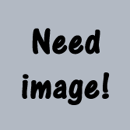 Need image.png (3 KB) Lucky Pet: Bet on the winning pet 300 times in the stadium