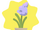Fragrant Hyacinth