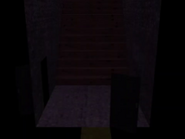 The stairway leading to the basement