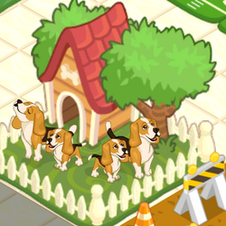 Pet shop story 2025