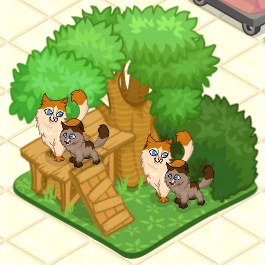 Ragamuffin Pet Shop Story Wiki Fandom