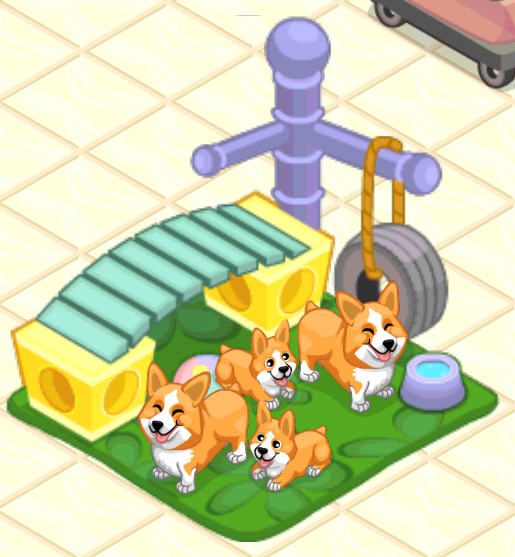 Corgi outlet pet shop