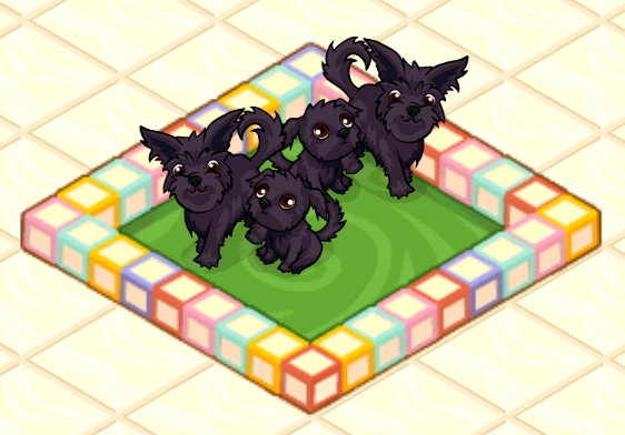 Pet shop cheap story crossbreeds
