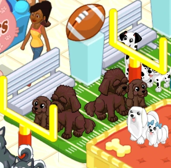 Labradoodle Pet Shop Story Wiki Fandom