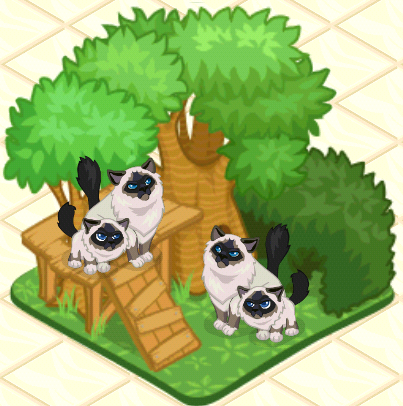 PET SHOP free online game on