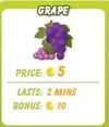 Grape