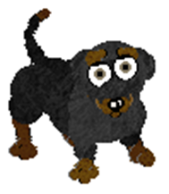 Dachshund | Petz 5 Wiki | Fandom