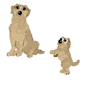 petz 5 breeds