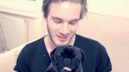 Edgar and Pewds.