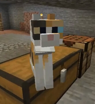 Pewdiepie cat sale
