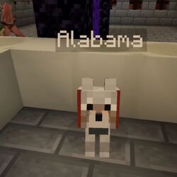 Category PewDiePie s Pets PewDiePie Minecraft Series Wiki Fandom