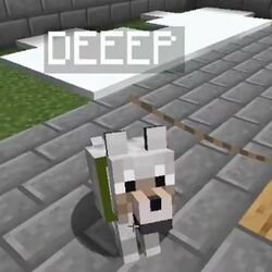 Category Pewdiepie S Pets Pewdiepie Minecraft Series Wiki Fandom