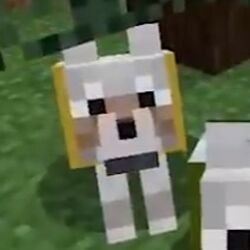 Pewdiepie all minecraft pets hotsell