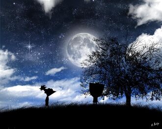 Starry Night1.jpg