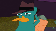 Perry.gif (2.49 MB)
