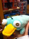 Perry whoopie