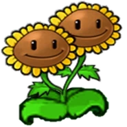 Doppelsonnenblume