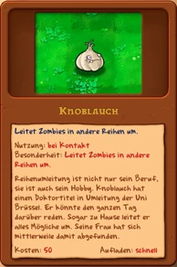 Knoblauch