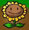 Alpha Konzept der Sonneblume in PvZ 1