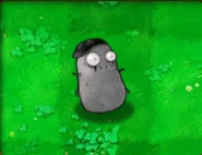 0Imitater.gif (72 KB) Animierter Imitator