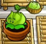 Zen 15.jpg (7 KB) Im Zen-Garten