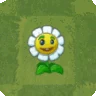 Ringelblume