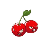 HD Kirschbombe