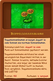 Dopelsonnenblume