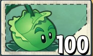 Cabbage-pultPvZ2SeedPacket.png (42 KB) Das Samenpaket