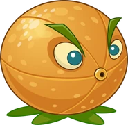 HD Zedrate