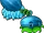 Wintermelone