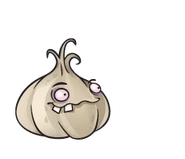 Garlic21.png (14 KB) HD Knoblauch