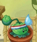 PVZIAT Cabagge-pult watered costume.gif (498 KB) Kohlapult mit Kostüm im Zen-Garten