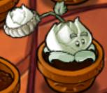 Cabbage-pult.jpg (5 KB) Imitator Kohlapult