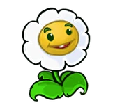 Ringelblume HD