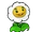 Ringelblume