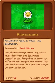 Ringelblume2