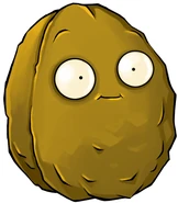 HD Wallnuss (PvZ 1)