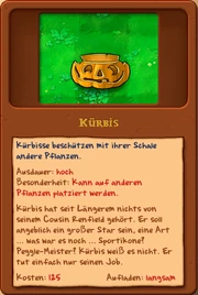 Kürbis