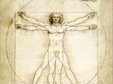 Vitruvian Man