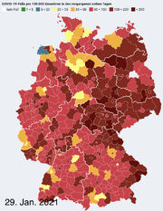 RkiData29-1- 2021.jpg