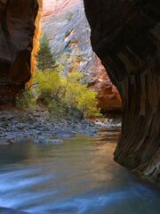 Narrows in Zion National Park