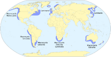 Kelp forest distribution map