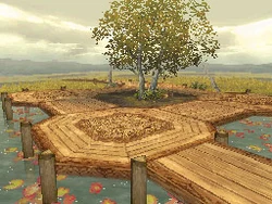 The overcast wetlands