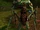 Tollaw