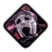 Phantom Bomber Icon