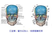 解剖與生理學